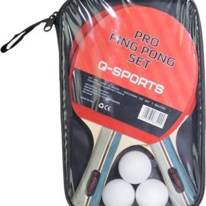 ping pong set