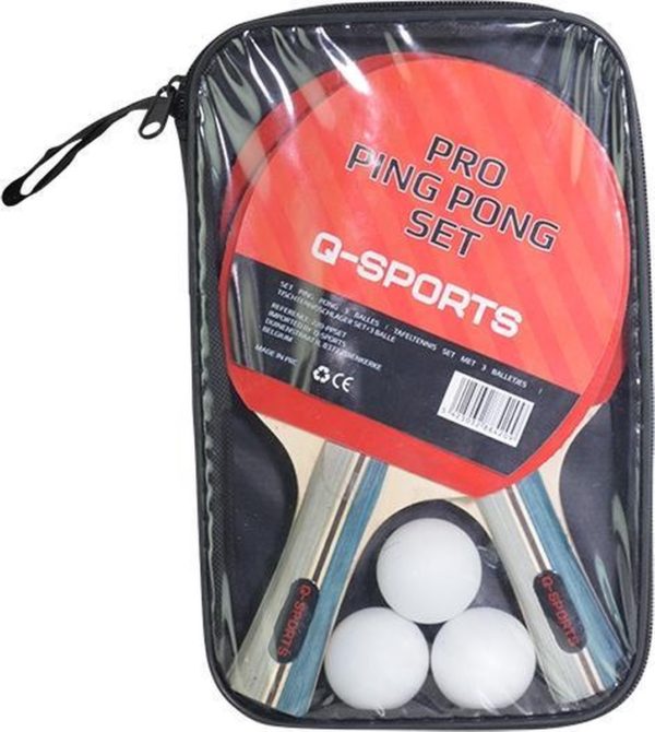 ping pong set