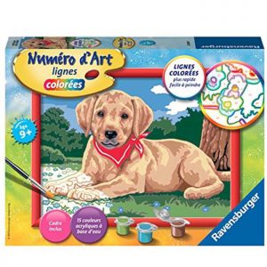 creatief schilderen op nummer hond